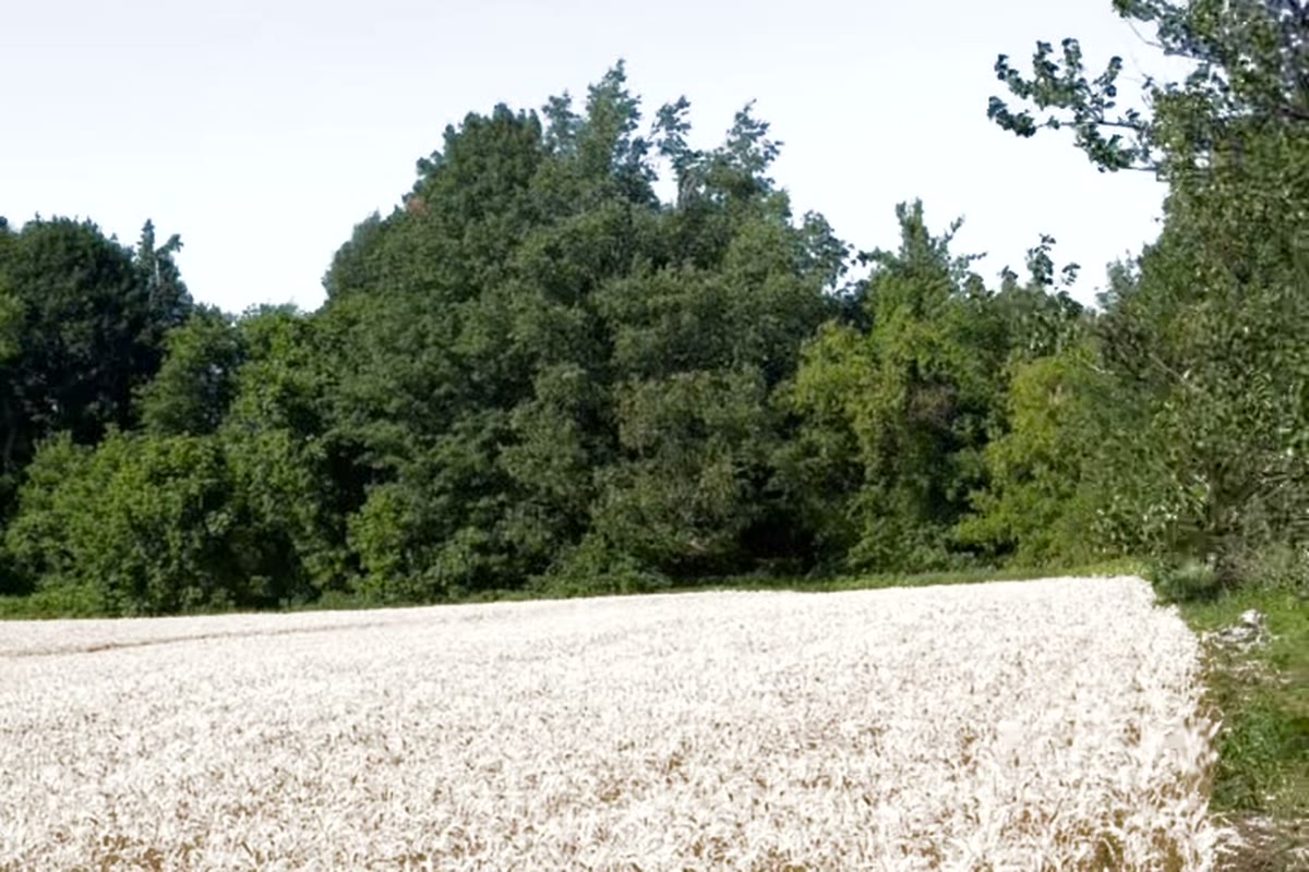 Private land offering in Caledon