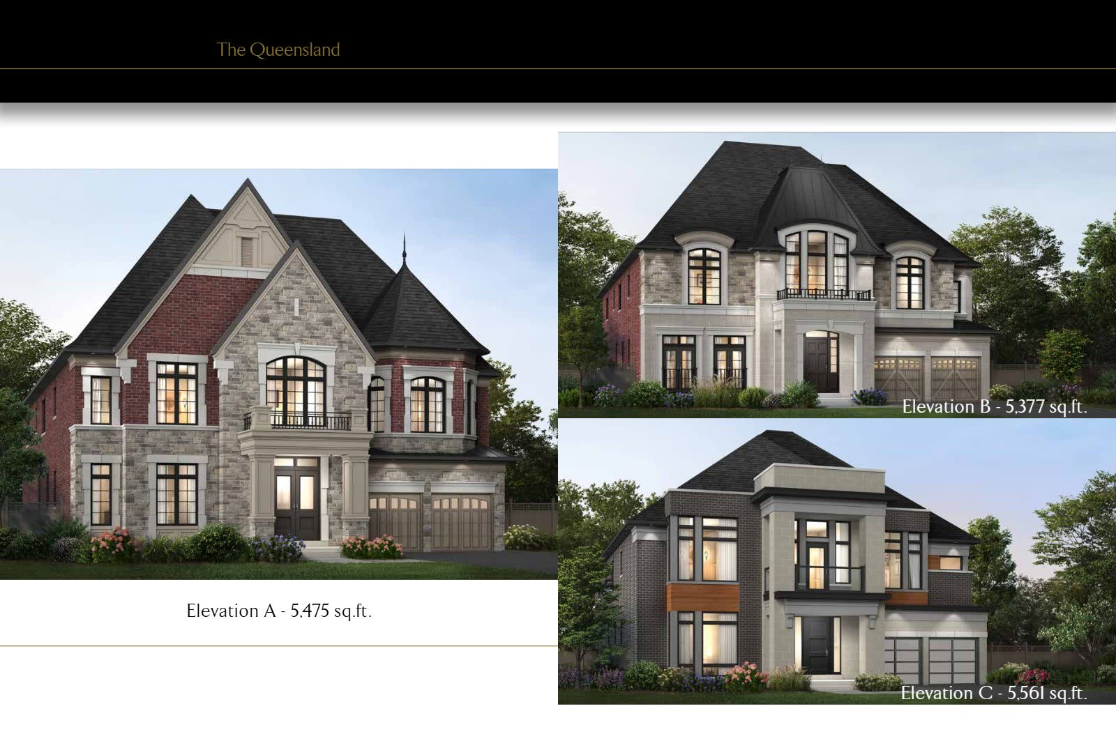 Floor plan — The Queensland · 60' lot — elevations A, B & C